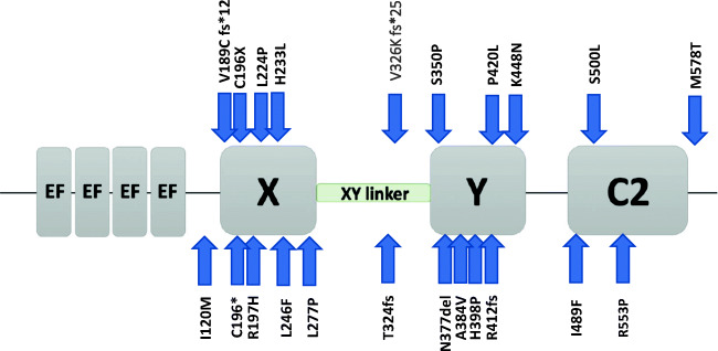 Fig. 4