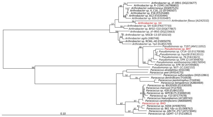 FIGURE 2