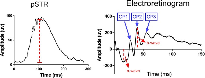 Fig. 2