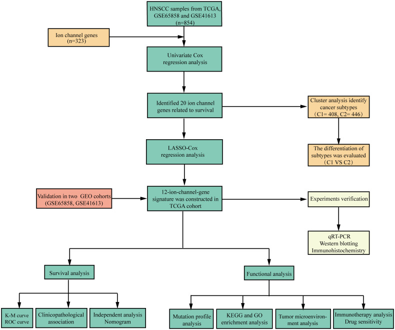 Figure 1