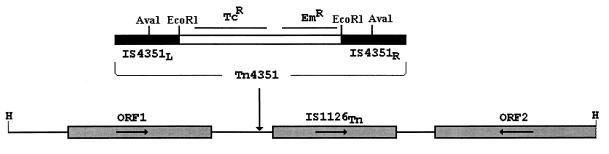 FIG. 1