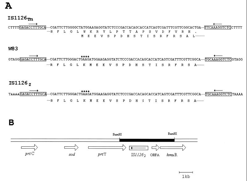 FIG. 5