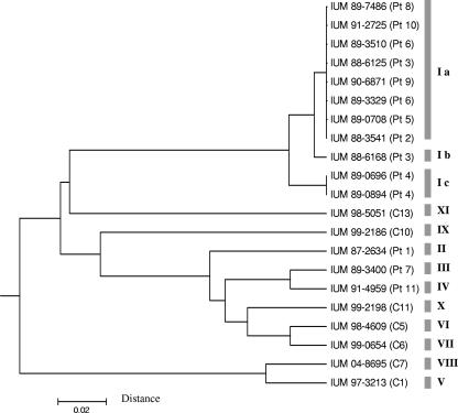 FIG. 1.