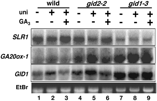 Figure 7.