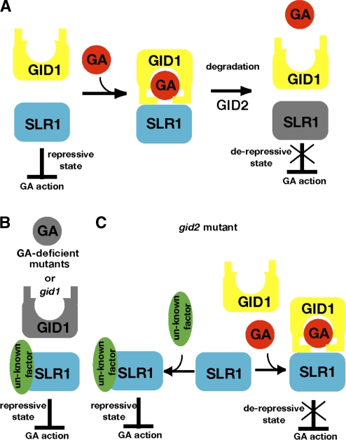 Figure 9.