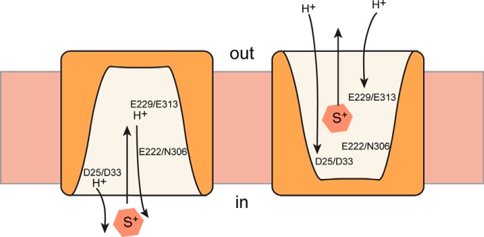 FIGURE 7.