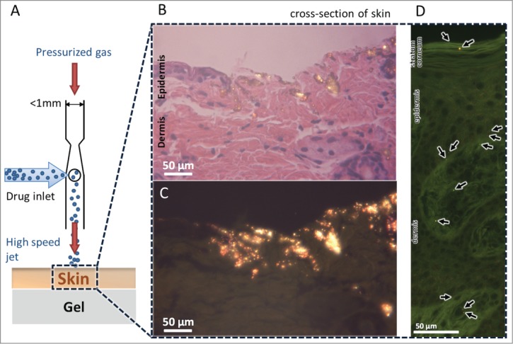 Figure 5.