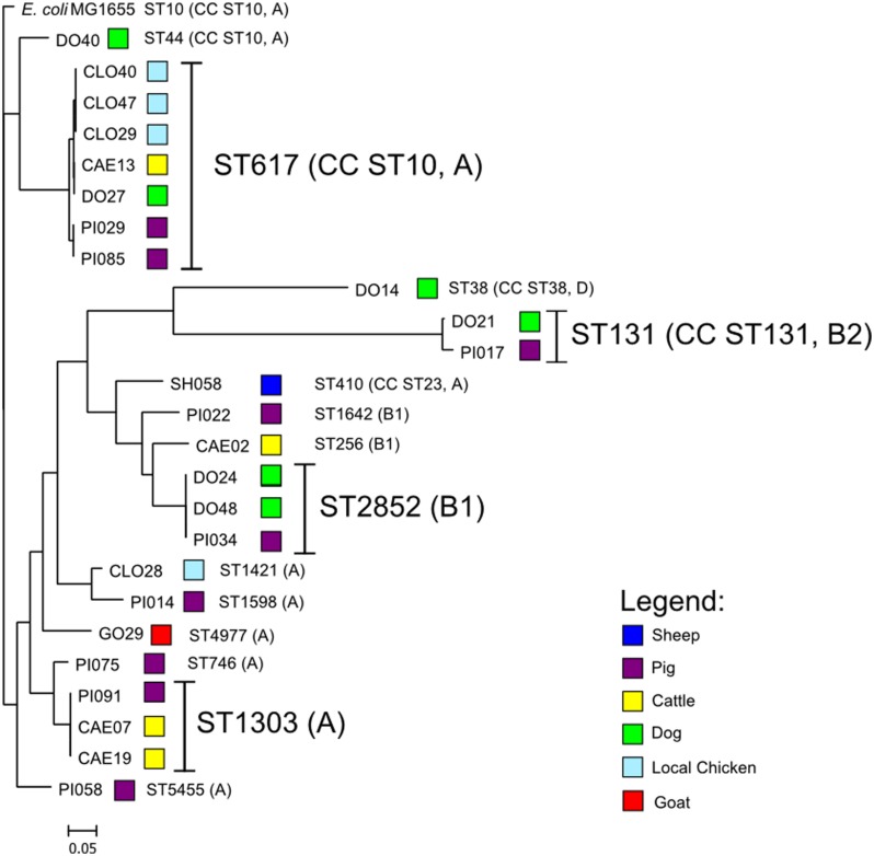 FIGURE 1