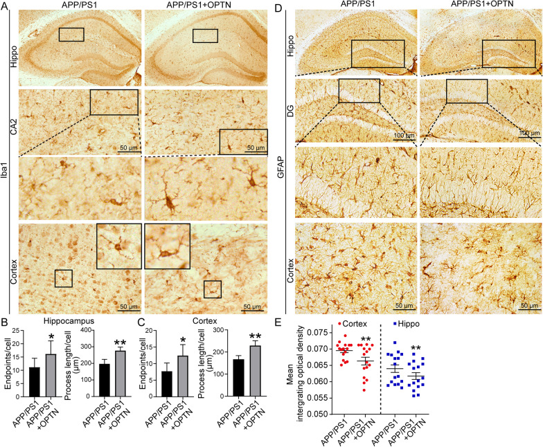 Fig. 11