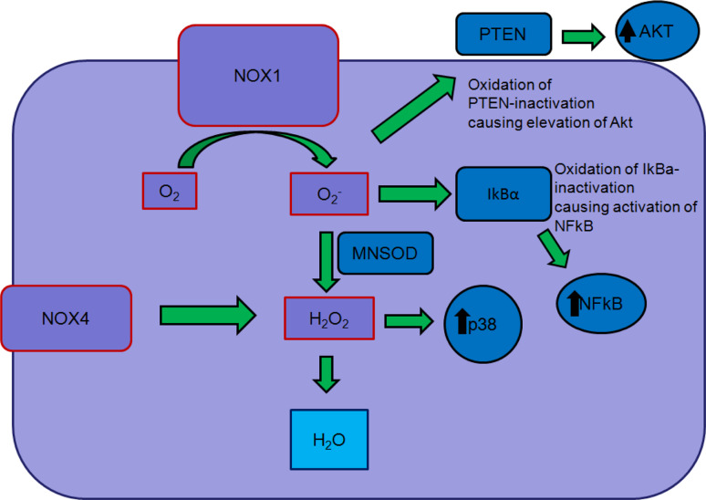 Fig. 2