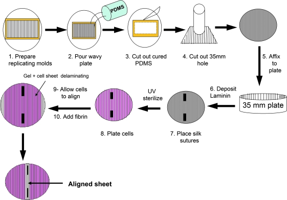 FIG. 1.