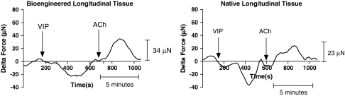 FIG. 8.