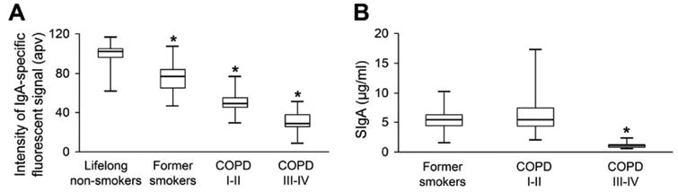 Secretory Iga From Submucosal Glands Does Not Compensate For Its Airway 