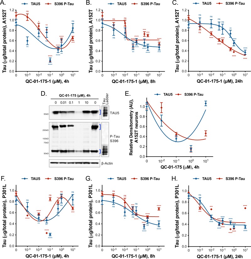 Figure 5—figure supplement 1.