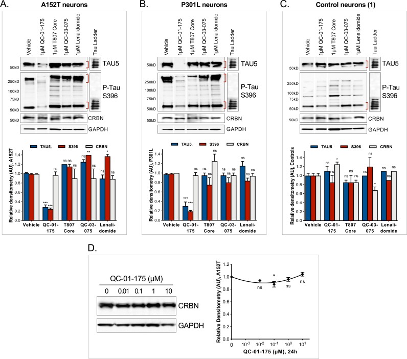 Figure 3—figure supplement 1.