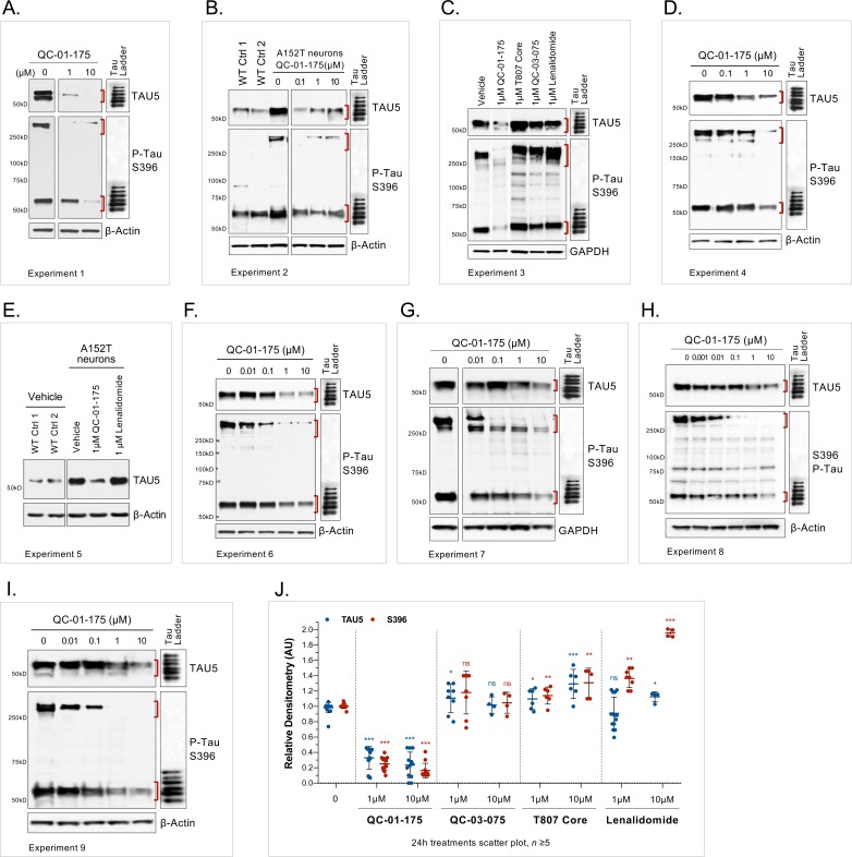 Figure 2—figure supplement 1.