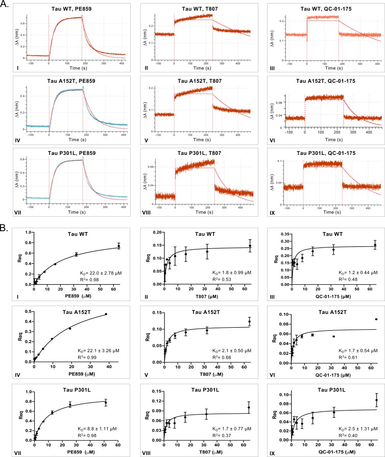 Figure 1—figure supplement 1.