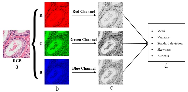 Figure 9