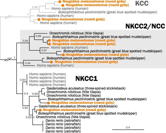 Fig. 7.