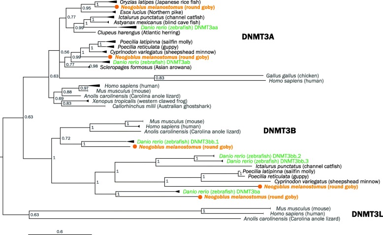 Fig. 13.