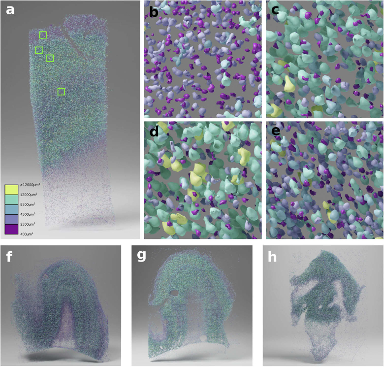 Fig. 3.