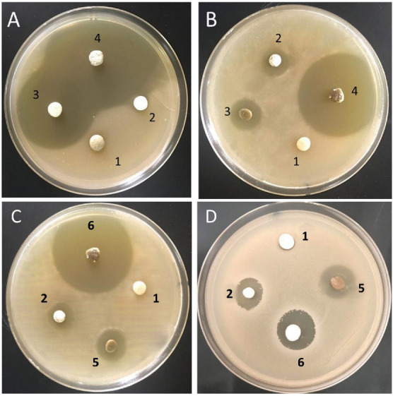 Figure 7