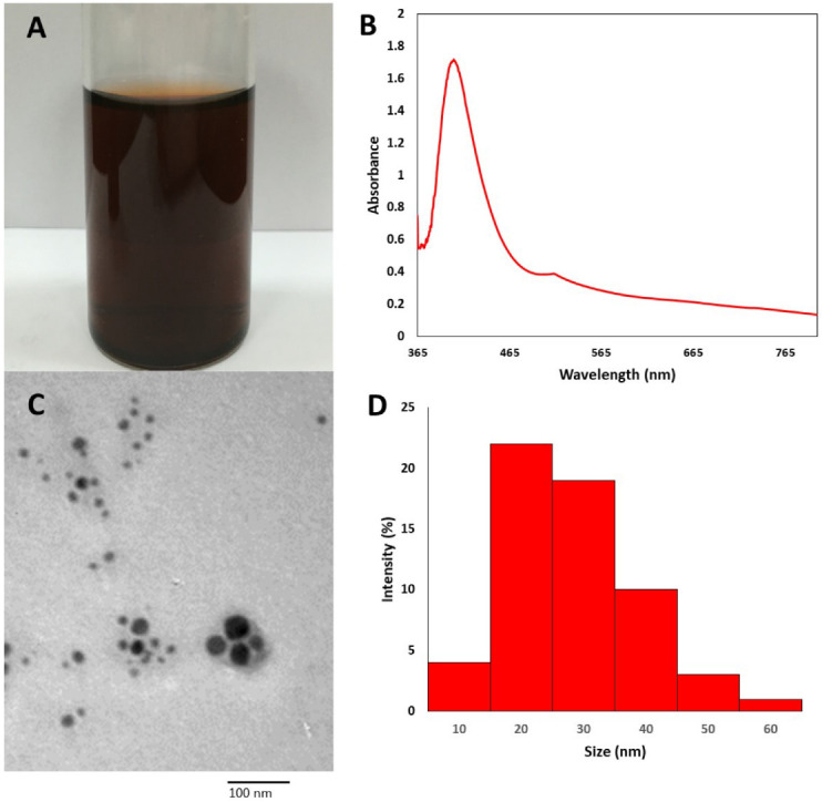 Figure 5