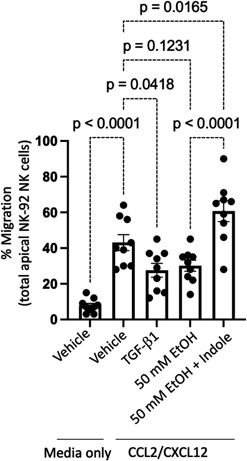 Fig. 12