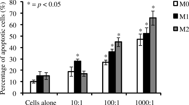 Fig 5