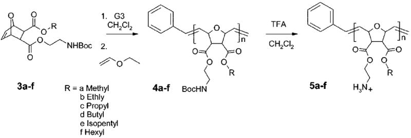 Scheme 2