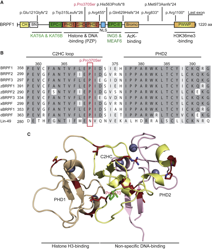 Figure 2