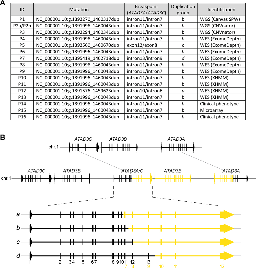 Figure 2.