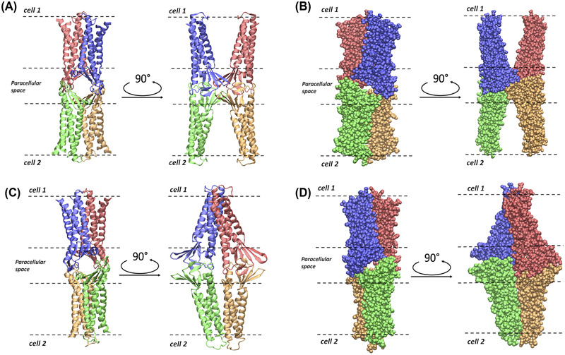 FIGURE 2