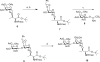 Scheme 2