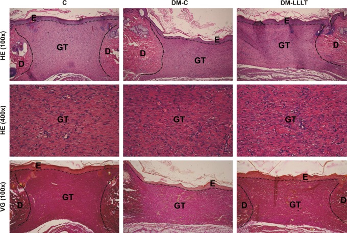 FIG. 4.