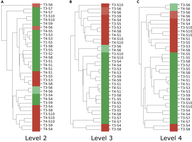 Figure 2