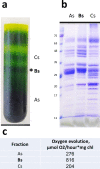 Figure 1—figure supplement 9.