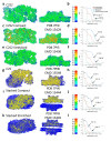 Figure 1—figure supplement 2.