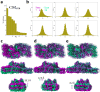 Figure 1—figure supplement 7.