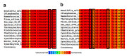 Figure 3—figure supplement 1.