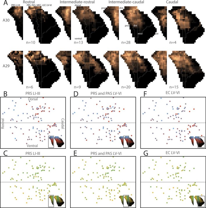 Figure 5—figure supplement 1.