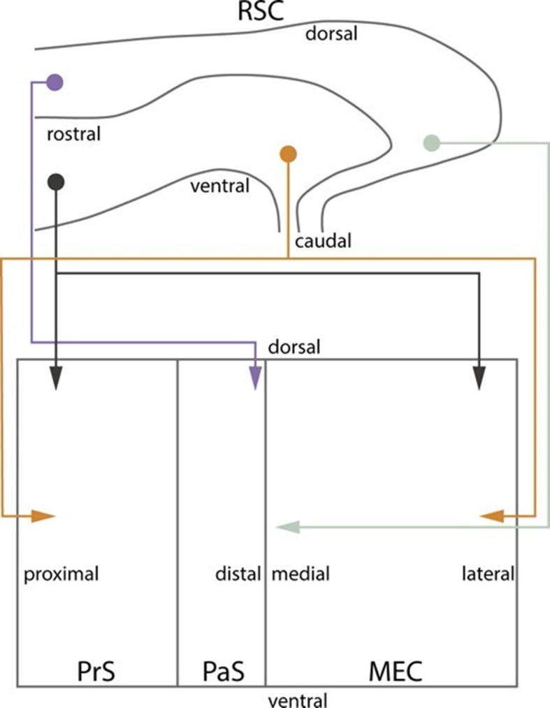 Figure 10.