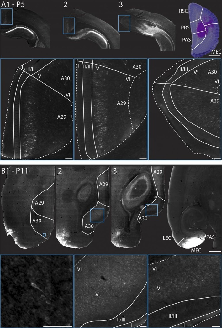 Figure 9.