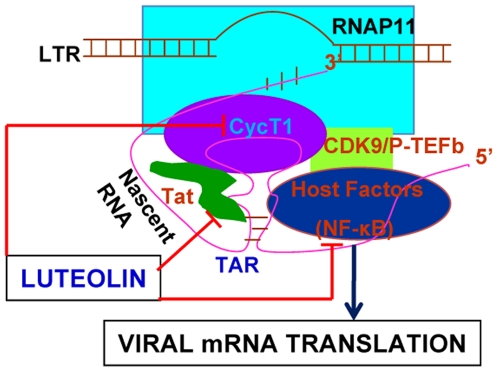 Figure 9