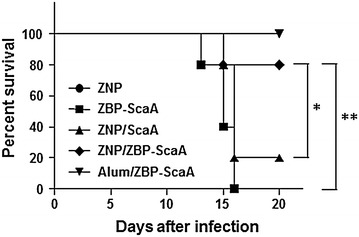 Fig. 6