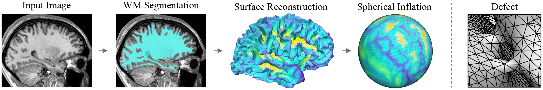 Figure 1: