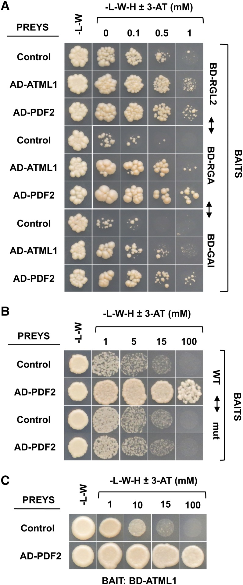 Figure 6.