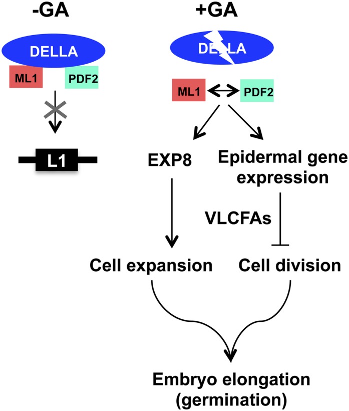 Figure 10.