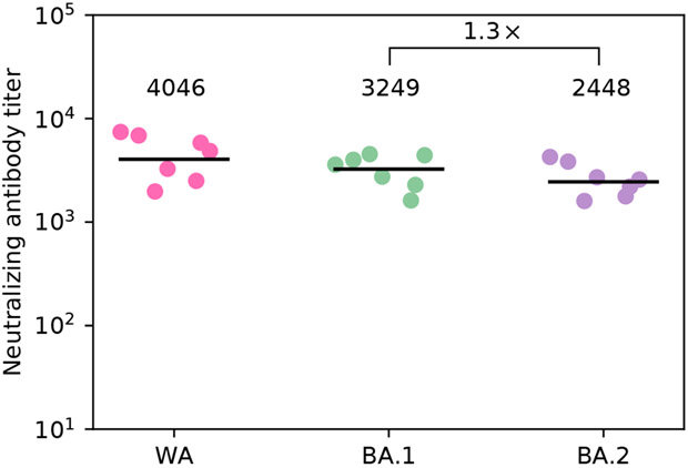 Figure 5: