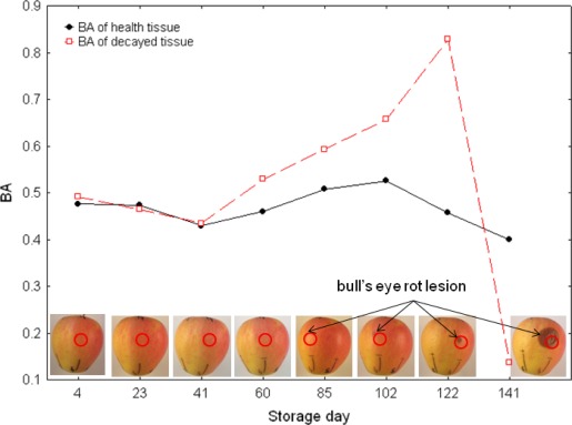 Figure 4.